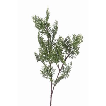 Rama falsa de ciprés FROWIN, verde, 80cm