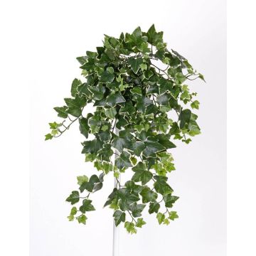 Hiedra de plástico colgante TILL con palo, para estancias resguardadas, verde-blanco, 65cm