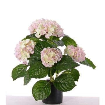 Flor artificial hortensia TEMARI, blanco-rosa, 35cm, Ø10-12cm