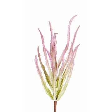 Euphorbia trigona de plástico REESE con palo, rosa-verde, 30cm, Ø20cm