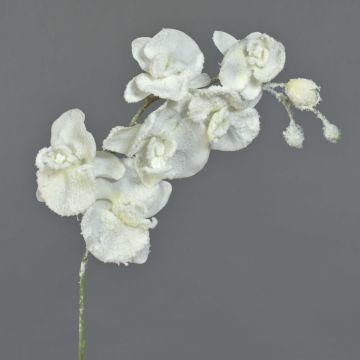 Rama de orquídea artificial Phalaenopsis MYRIA, nieve, blanca, 75cm