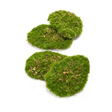 Trozos de musgo sintético HEFEI, 4 unidades, verde, 11x15x5cm