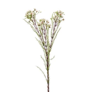 Flor de cera de plástico MEDEA, crema, 80cm