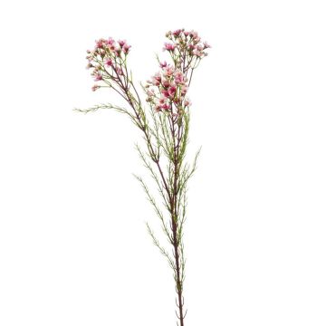 Flor de cera de plástico MEDEA, rosa, 80cm