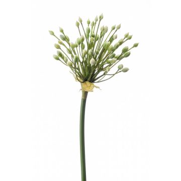 Allium de plástico KATYNA, crema, 70cm