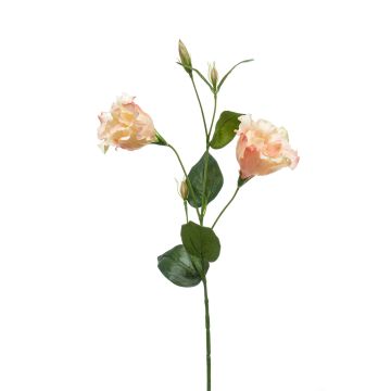 Flor textil Lisianthus JENO, rosa-crema, 60cm