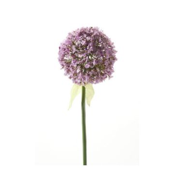 Allium de plástico DURBAN, morado claro, 70cm