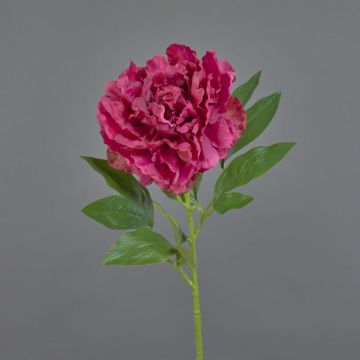 Peonía sintética DIVIN, fucsia, 65cm