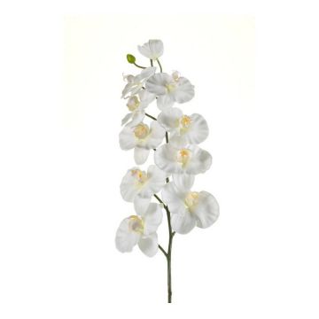 Rama artificial de orquídea Phalaenopsis ANAT, crema, 100cm