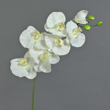 Rama de orquídea Phalaenopsis artificial BASTET, blanca, 80cm