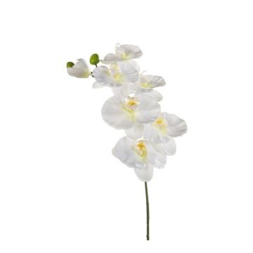 Rama de orquídea Phalaenopsis artificial BASTET, blanca, 80cm