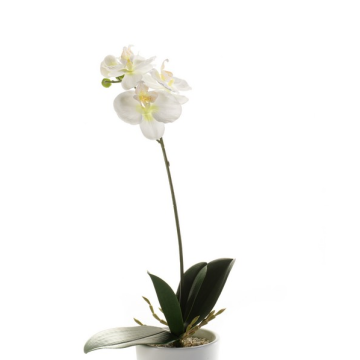 Orquídea Phalaenopsis de plástico ISIS, con palo, blanco, 40cm