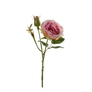 Rosa artificial CESCA, rosa, 40cm