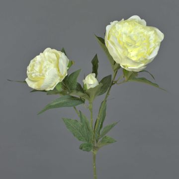 Peonía de plástico MISTI, crema, 70cm