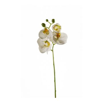 Rama de orquídea Phalaenopsis de imitación MINA, blanca, 55cm