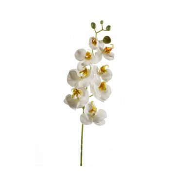 Rama de orquídea Phalaenopsis de imitación MINA, blanca, 70cm
