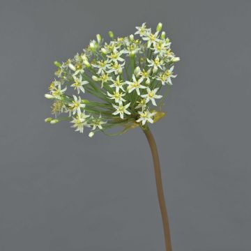 Allium de plástico BRAIS, blanco, 90cm