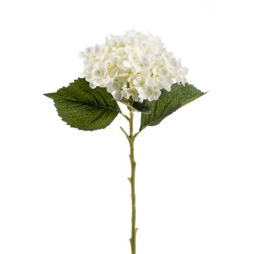 Hortensia de plástico EGIA, crema, 50cm
