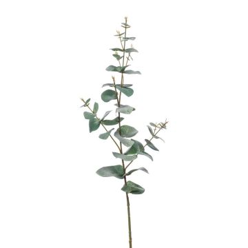 Rama de eucalipto artificial CALLIOPE, verde-gris, 70cm