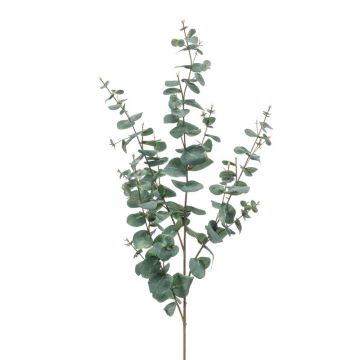 Rama de eucalipto artificial CALLIOPE, verde-gris, 115cm