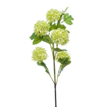 Rama de viburno artificial FONTE, verde claro, 75cm