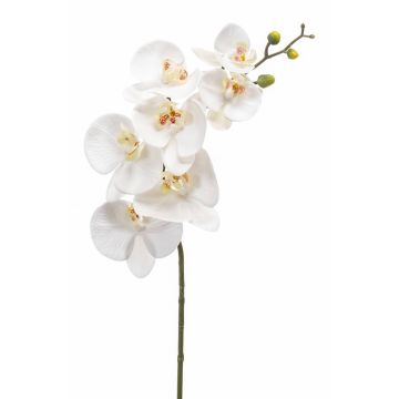Rama de orquídea Phalaenopsis de imitación NEITH, blanca, 85cm