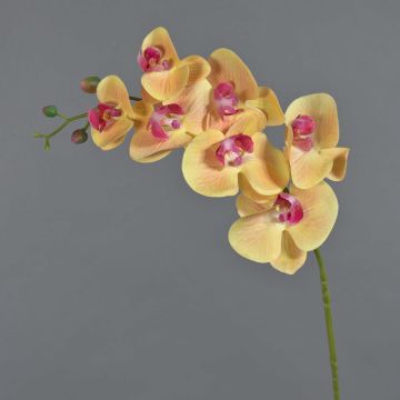Rama de orquídea Phalaenopsis de imitación NEITH, naranja-rosa, 85cm
