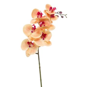 Rama de orquídea Phalaenopsis de imitación NEITH, naranja-rosa, 85cm