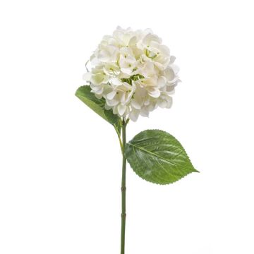Flor de hortensia falsa ENEA, blanca, 65cm