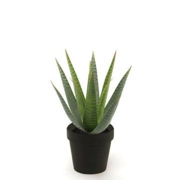 Planta artificial Aloe Variegata MARTINEZ, verde, 25cm, Ø17cm
