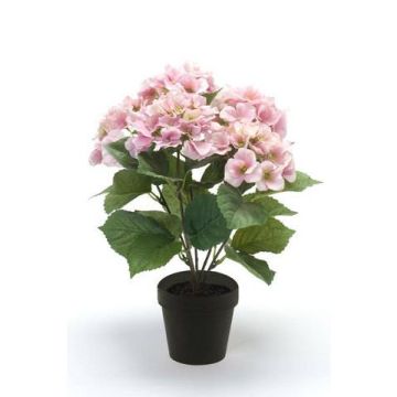 Hortensia de plástico JONE, rosa, 40cm