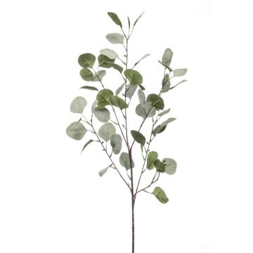 Rama de eucalipto de plástico COLTON, verde-gris, 85cm