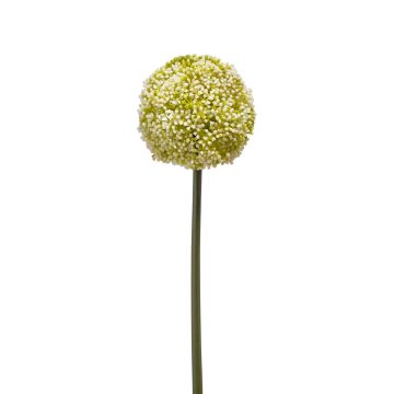 Allium artificial BOUTROS, blanco-verde, 75cm
