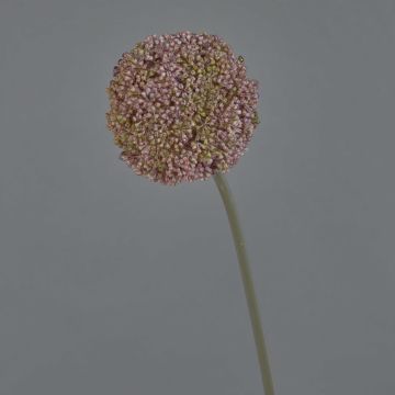 Allium artificial BOUTROS, violeta, 75cm