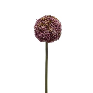 Allium artificial BOUTROS, violeta, 75cm