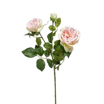 Rama de rosa sintética CALISTA, rosa, 60cm