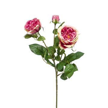Rama de rosa sintética CALISTA, fucsia, 60cm
