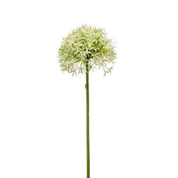 Allium de plástico ARNAU, verde crema, 60cm