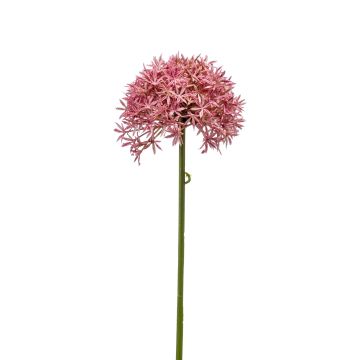 Allium de plástico ARNAU, fucsia, 60cm