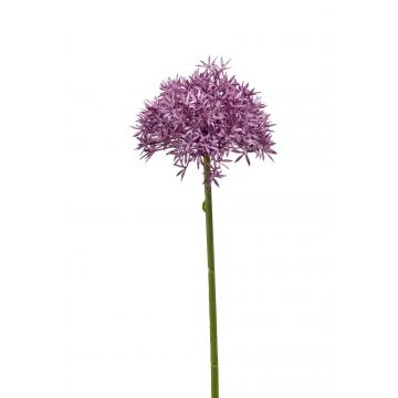Allium de plástico ARNAU, violeta, 60cm