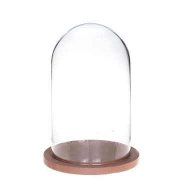 Campana de cristal HELVIN con base de madera, transparente, 25cm, Ø14cm