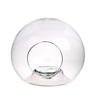 Terrario de cristal RENOLD, transparente, 25,5cm, Ø28cm