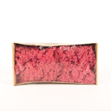 Musgo islandés natural SVEINBJÖRN, rosa sandía, 500g