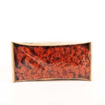Musgo islandés natural SVEINBJÖRN, siena, 500g