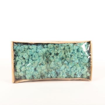 Musgo islandés natural SVEINBJÖRN, azul turquesa, 500g