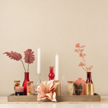 Adviento encantador