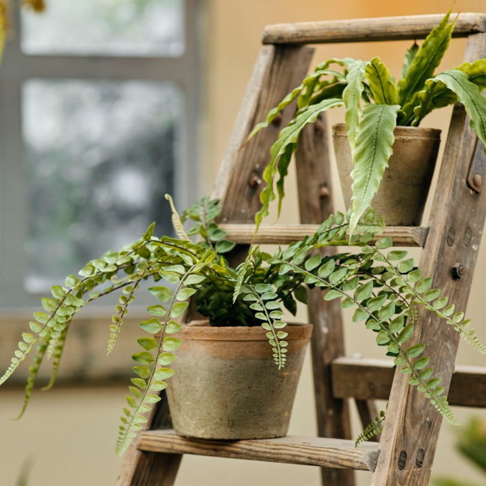 Plantas y flores artificiales