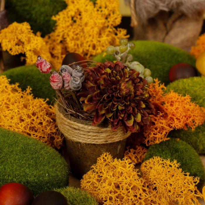 Arreglos de otoño