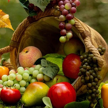 Fruta / Verdura