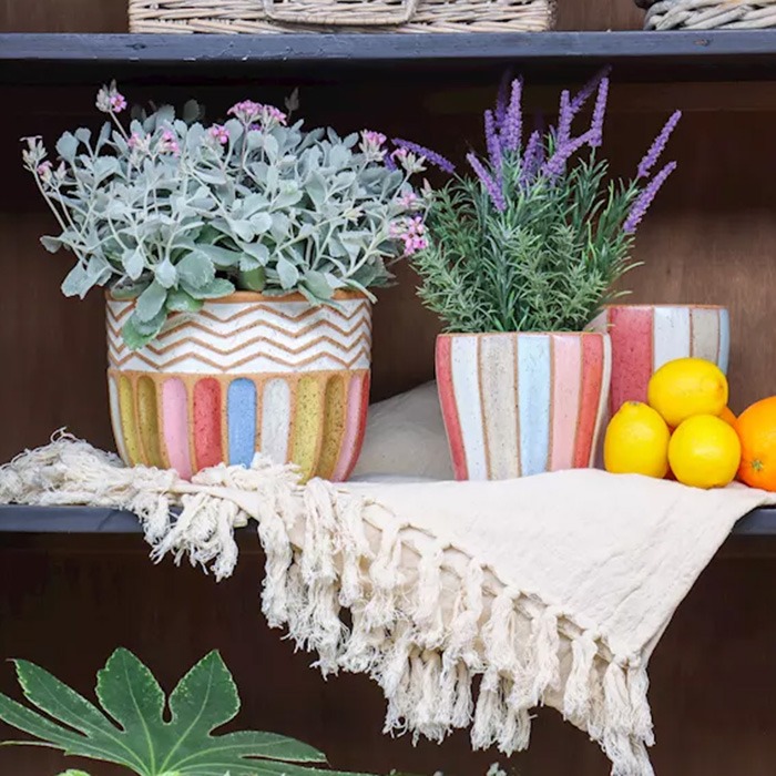 Ideas decorativas con macetas